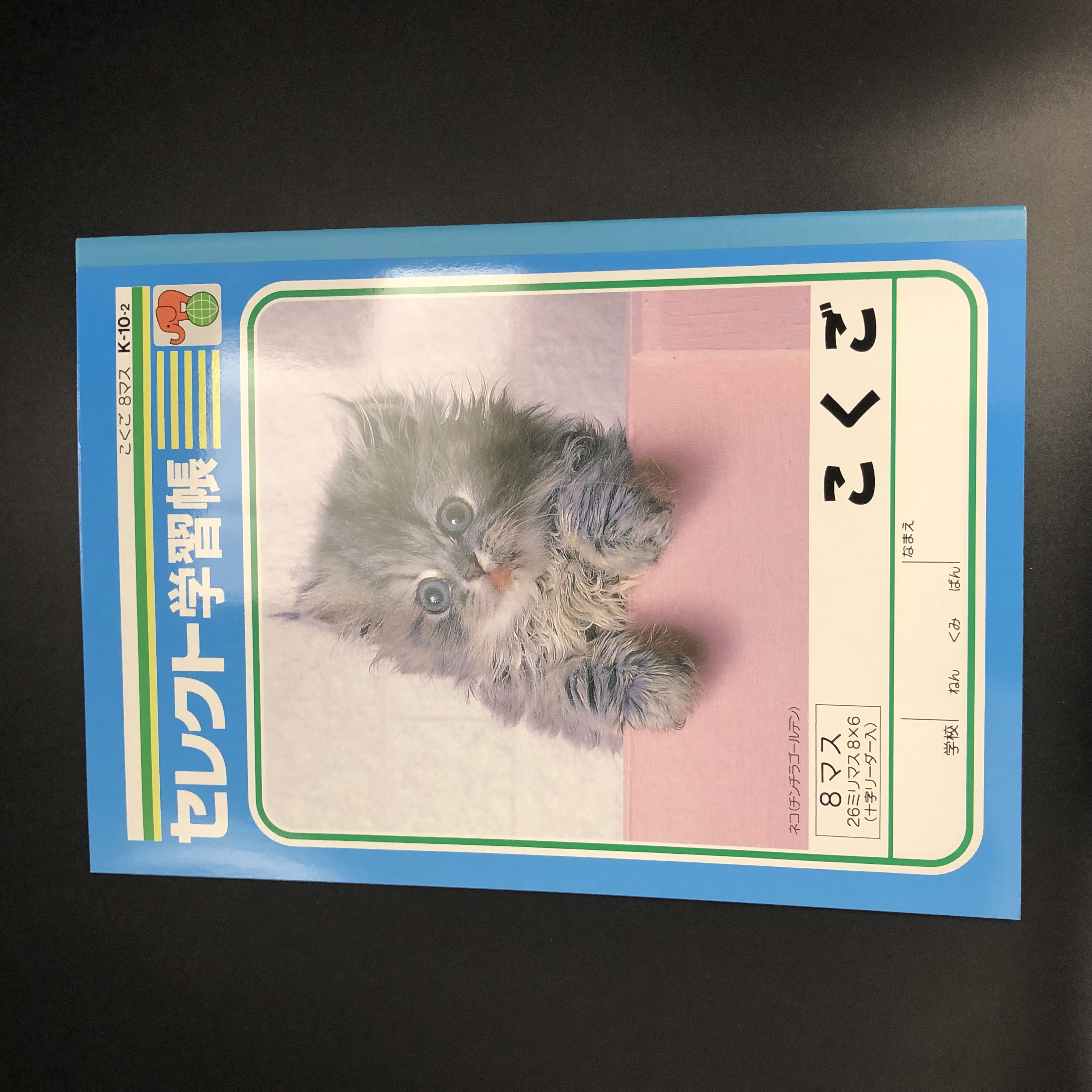 学校法人様向け ノート 学習帳 教科 こくご ８マス 100均商品で経費削減 ぱちぱち通販